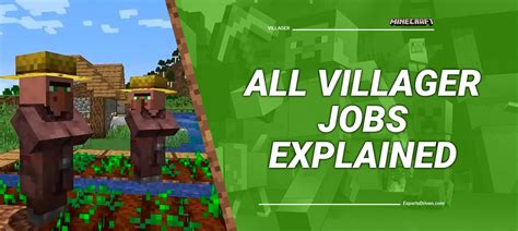 villager jobs|all villager jobs 2023.